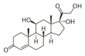 Cortisol2