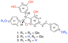 Archivo:Dimer Resveratrol Structure