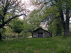 Archivo:Ermita de la Magdalena (Tejedo de Ancares)