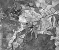Etxegoien 1932-1934 ortoargazkia