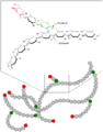 Glycogen