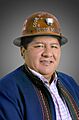 Hilarión Mamani Navarro (Official Photo, 2020) Chamber of Senators of Bolivia