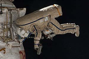 Archivo:ISS-35 EVA 10 Roman Romanenko