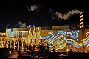 Archivo:Kiev Roshen Factory in the New Year
