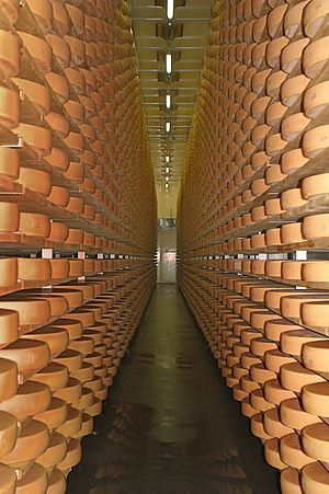 Ruta del Queso Bregenzerwald para Niños
