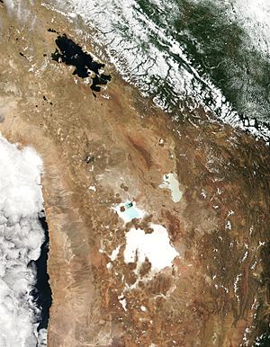 Archivo:Lake Titicaca Modis Sensor Nov 4 2001