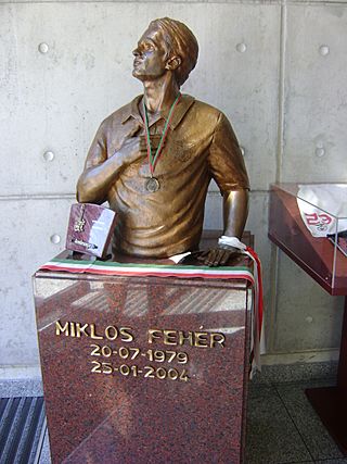 Miklos Feher memorial.jpg