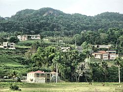 Moca, Puerto Rico.jpg