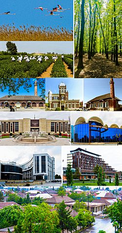 Montage of Lənkəran 2019.jpg