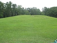 Archivo:Mound B at Poverty Point IMG 7424