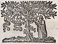 Nikolaes Heinsius the Elder, Poemata (Elzevier 1653), Druckermarke