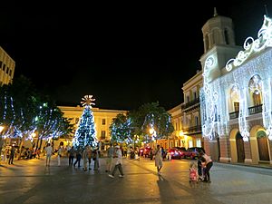 Archivo:Plaza de Armas de San Juan during Christmas