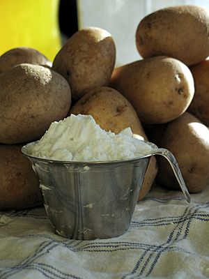 Archivo:Potato flour2