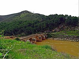 Puente-Sotiel Coronada (Huelva).jpg