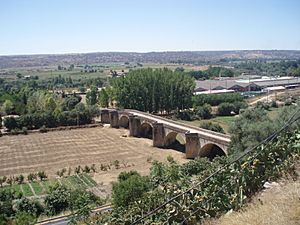 Archivo:Puente del siglo XVI sobre el río Alagón. Coria. (Cáceres)