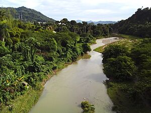 Archivo:Río Bajabonico, a su paso por Imbert