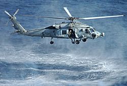 Archivo:SH-60 Seahawk