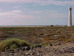 Archivo:Saladar y Faro de Morro Jable Fuerteventura