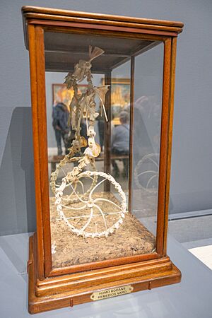Archivo:Surrealist sculpture made of bones left over from a dinner party (51893663379)