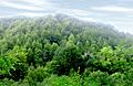 Tara National Park