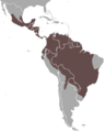 Tayra area