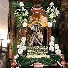 Archivo:Virgen del Carmen Torresandino