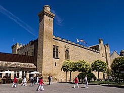 WLM14ES - Olite Palacio Viejo 00010 - .jpg