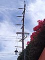 Wooden cross pole