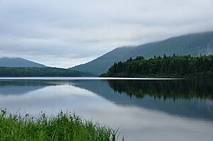 Archivo:027 NB BigNictauLake DSC 1468