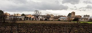 Alberite de San Juan, Zaragoza, España, 2016-01-03, DD 24.JPG