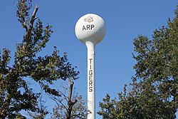 Arp, TX water tower IMG 4418.JPG