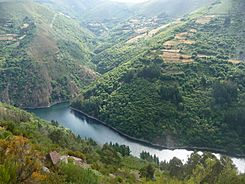 Asturies Rio del Oro.jpg