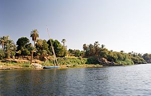Archivo:Aswan, Elephantine, west bank, Egypt, Oct 2004