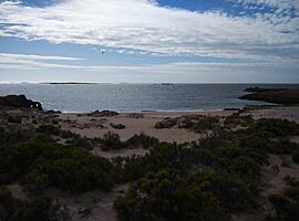 Bahía de los Nodales.jpg