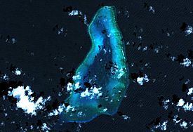 Blenheim Reef Landsat.jpg