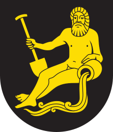 CHE Samedan COA