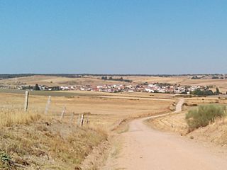 Camino Torres. Etapa 05. Ciudad Rodrigo - Gallegos de Argañán.jpg