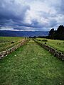 CaminoalTemplo