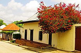 Archivo:Casa típica en Sincé