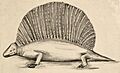 Case Edaphosaurus 1908