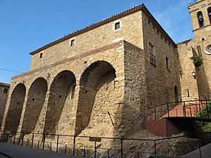 Archivo:Castell Aro IMG 8335