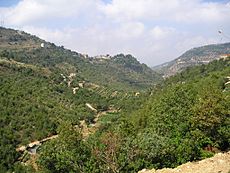 Archivo:Chouf mountains