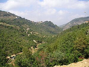 Archivo:Chouf mountains