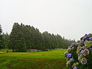 Archivo:Clube de Golfe da Ilha Terceira - Portugal (3354801682)