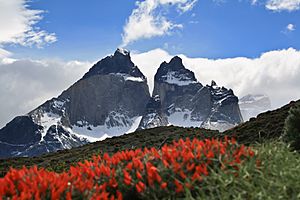 Archivo:Cuernos del Paine, Parque Nacional Torres del Paine, Chile1