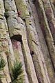 Devils tower climbers 2013
