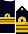 Divipalaarmadaes 22