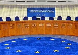 Archivo:European Court of Human Rights, courtroom, 2014 (cropped)