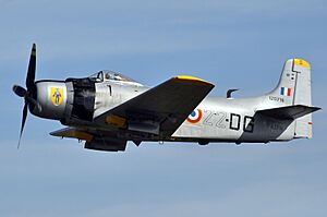 Archivo:F-AZFN SKYRAIDER Paris Air Legend 2018 (29703753127)
