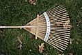 Fan-shaped leaf rake